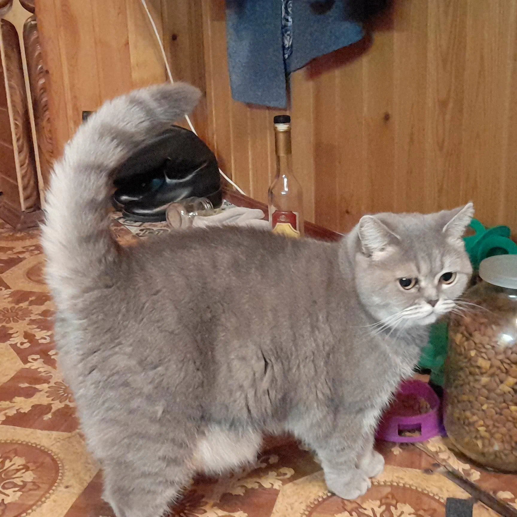  Леонид Сельков