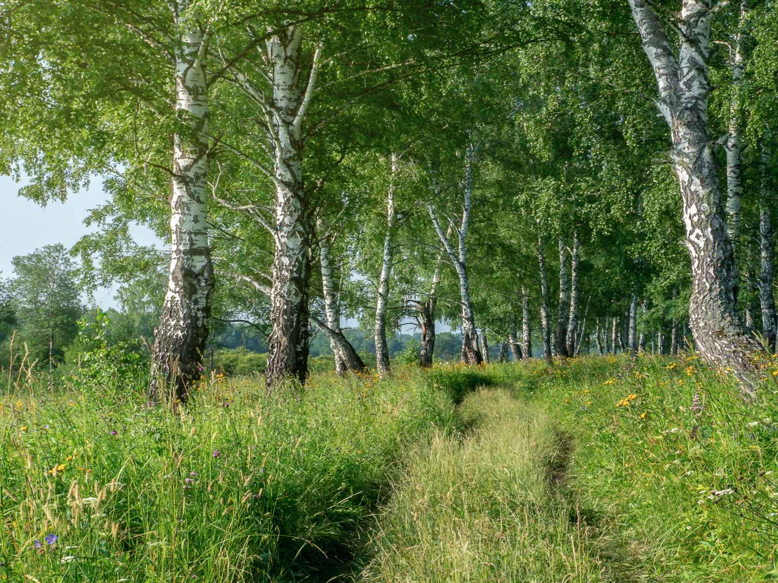 Участок №47 в поселке «Lakeside Residence»