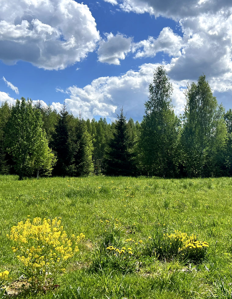 Участок №76 в посёлке «Woodside Residence»