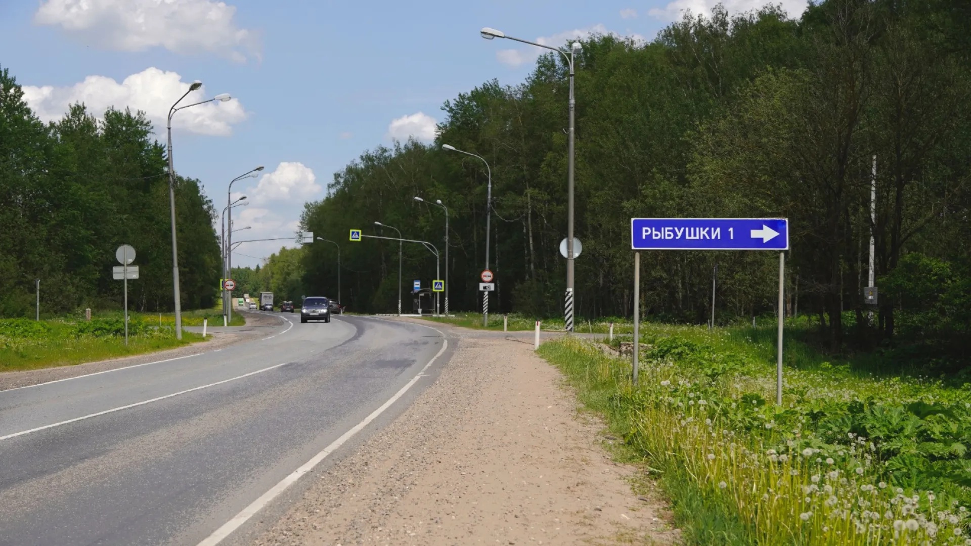 Въезд в деревню Рыбушки 1