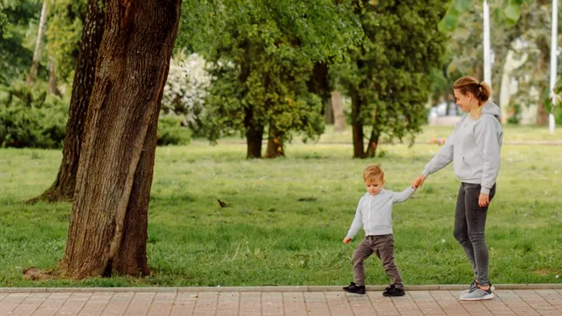Экологически чистый район