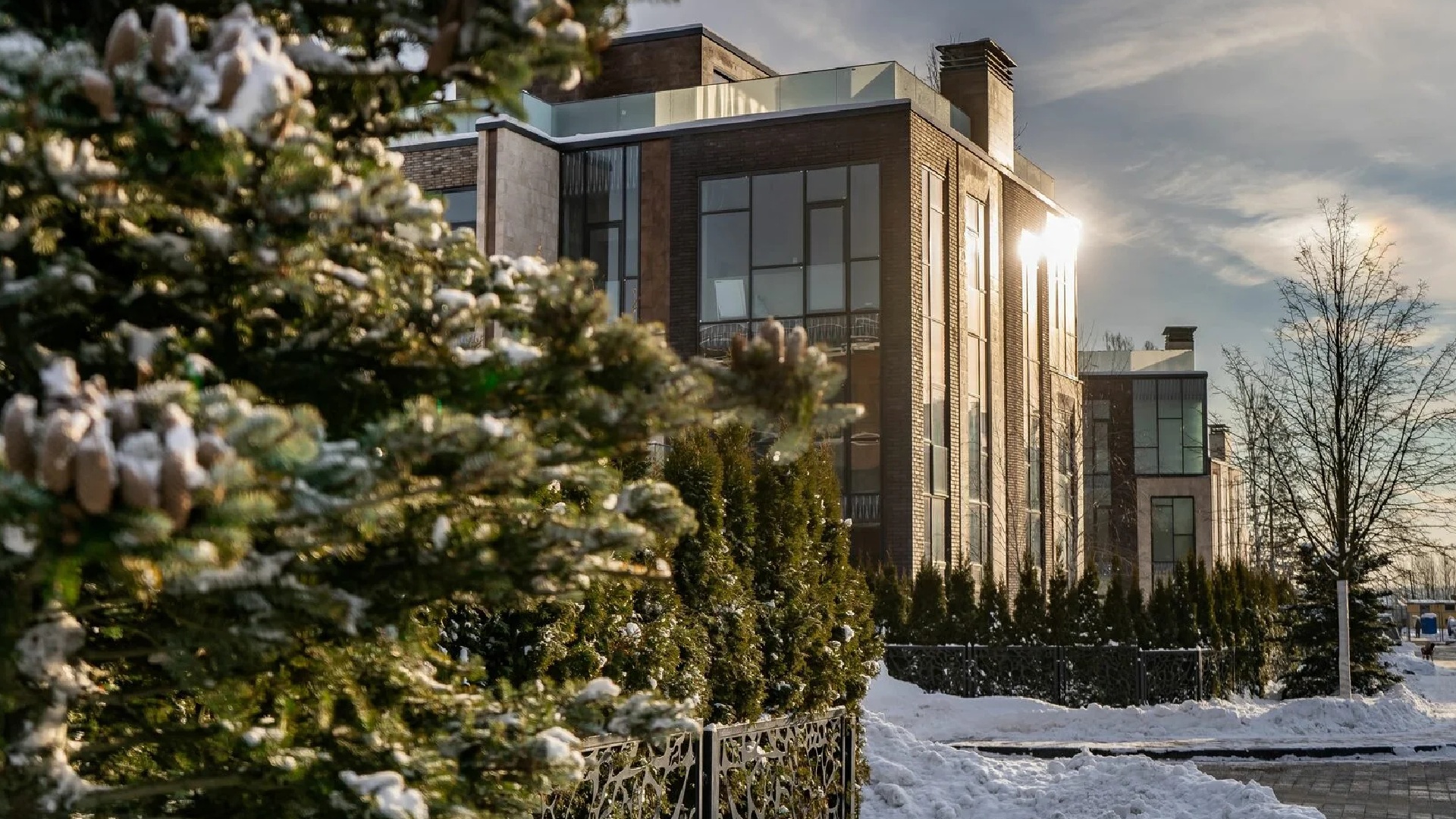 Ели в коттеджном поселке