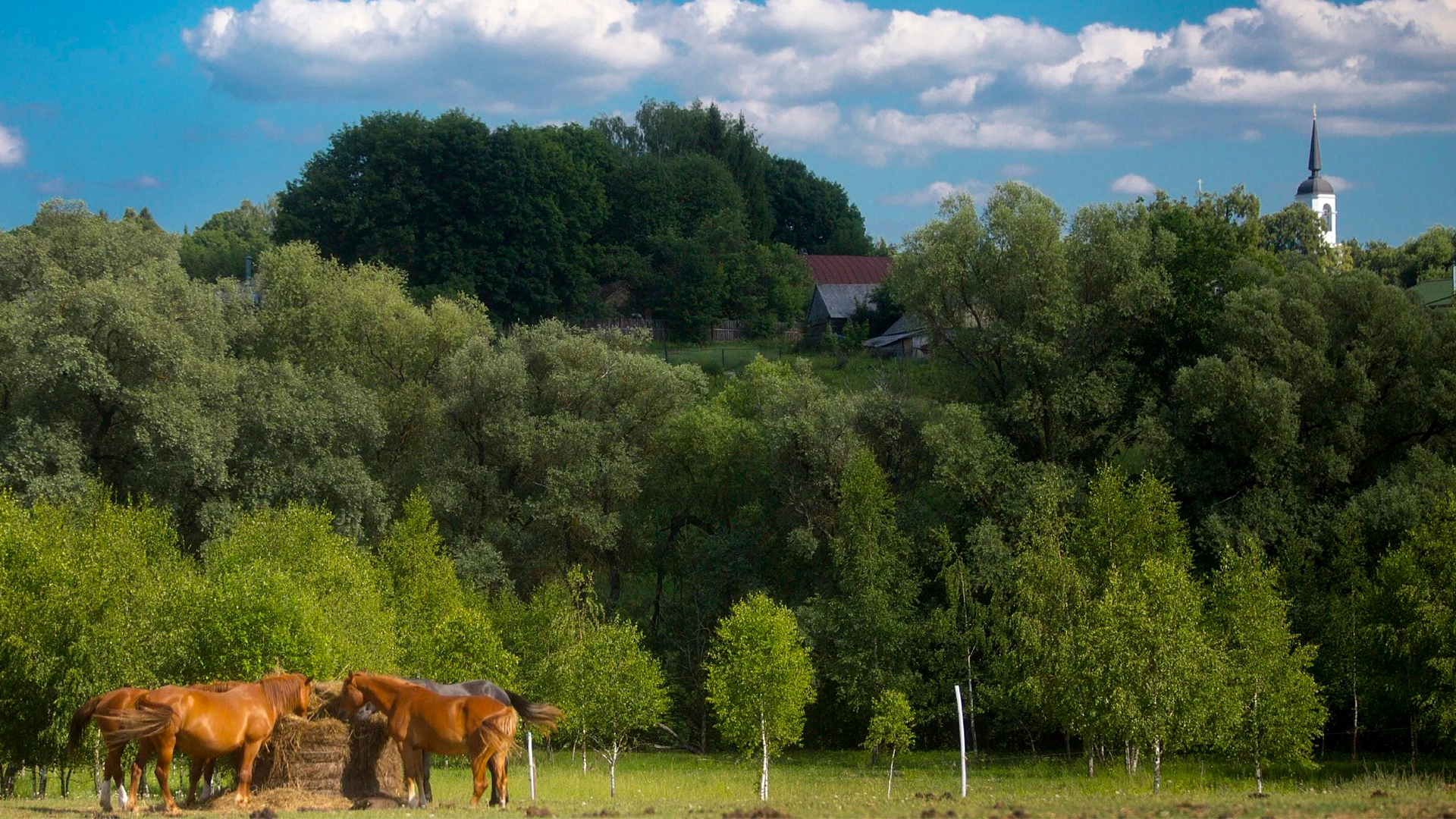 Конная школа