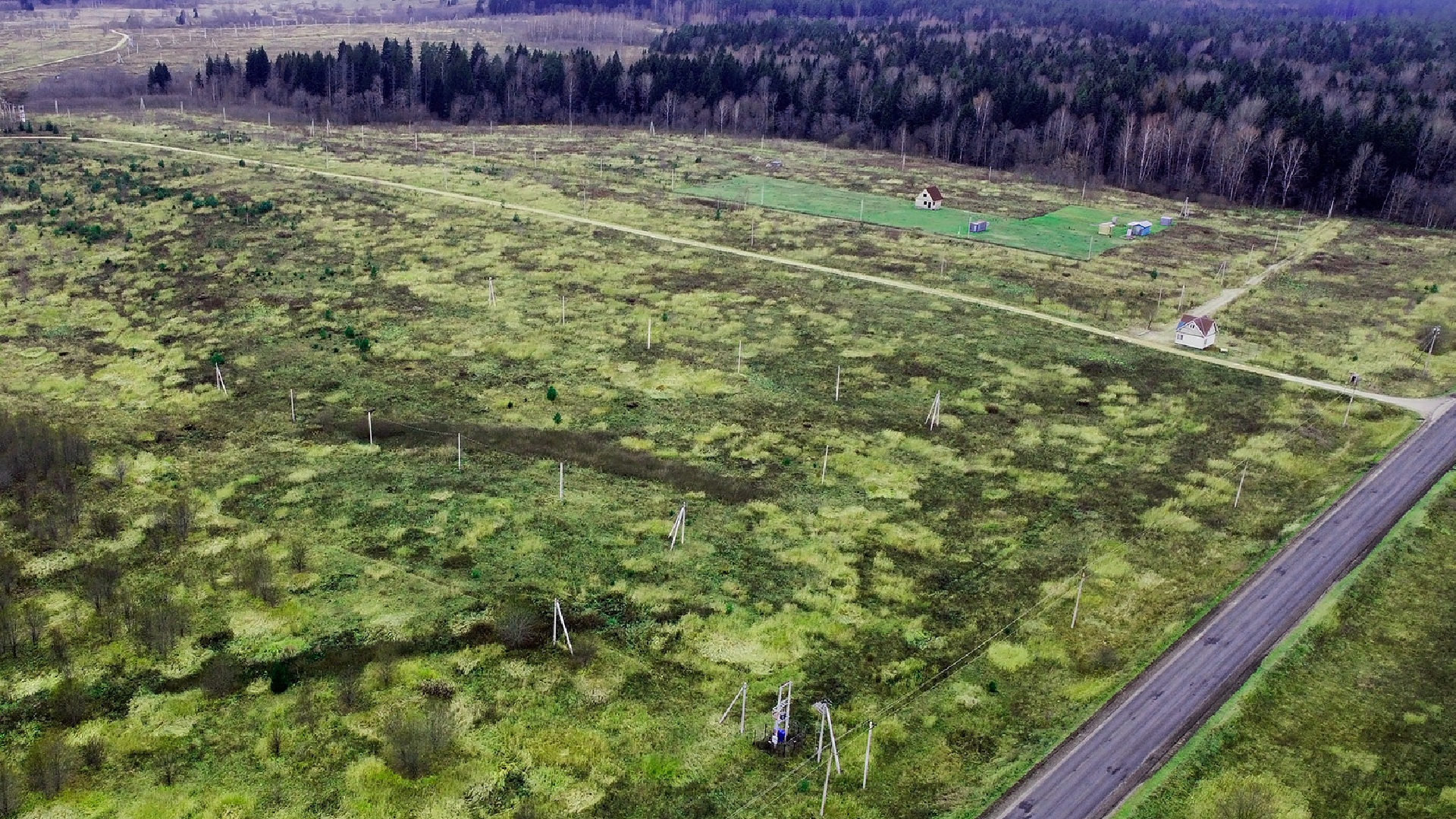 Вид в поселке на лес