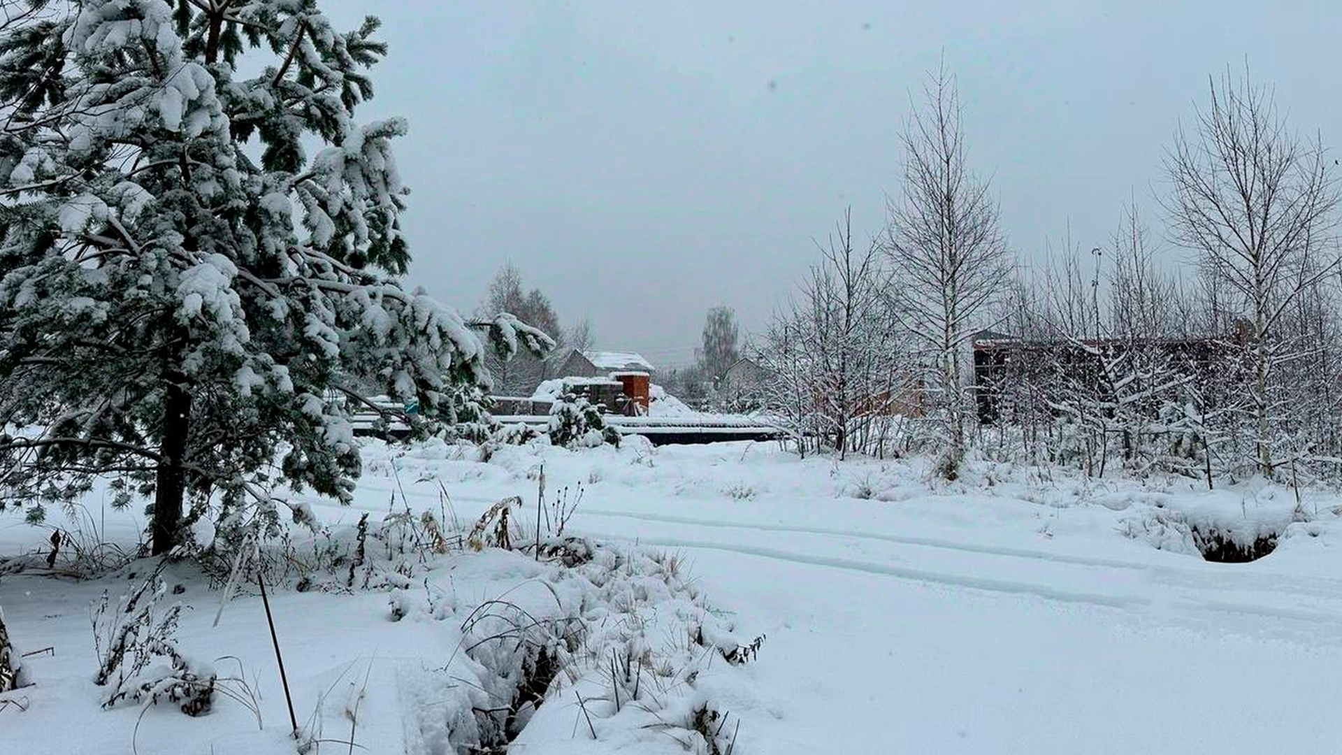 Участки с выходом в лес