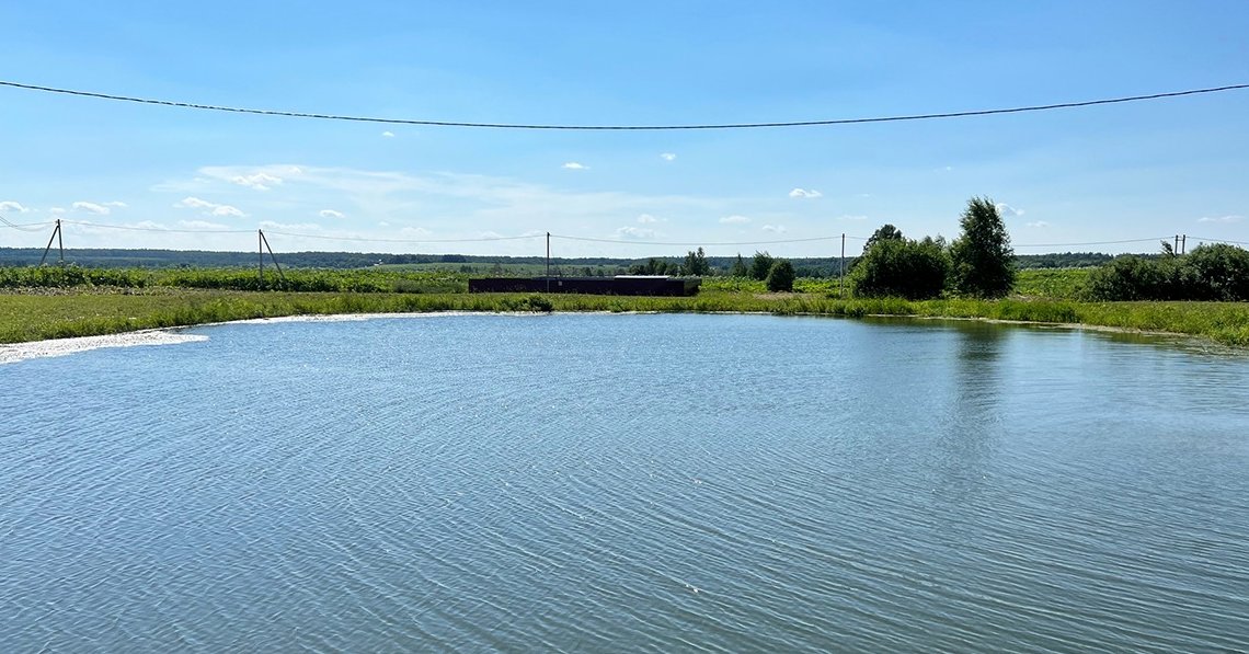 Водоем с полем и деревьями