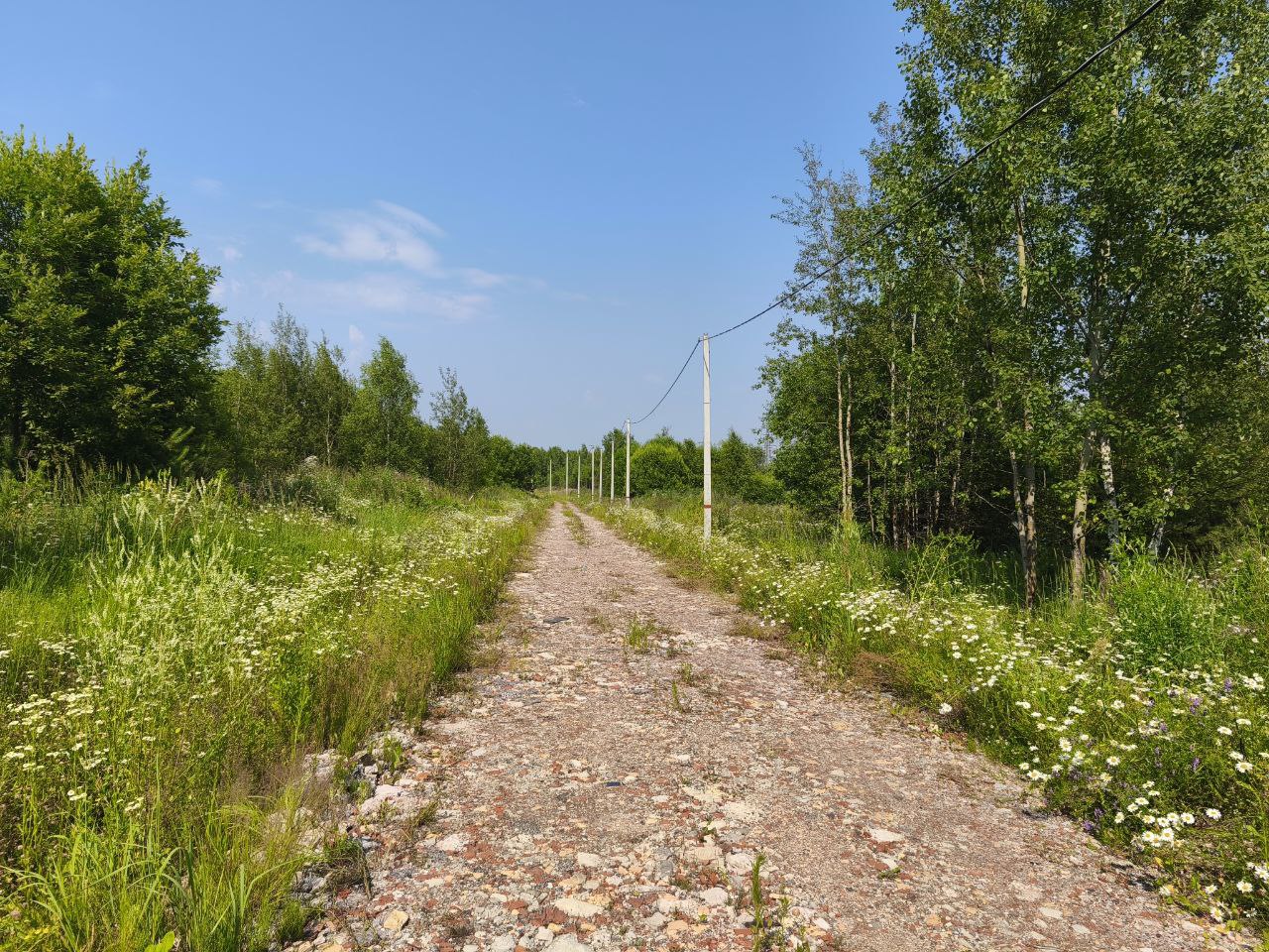 Дорога в поселке