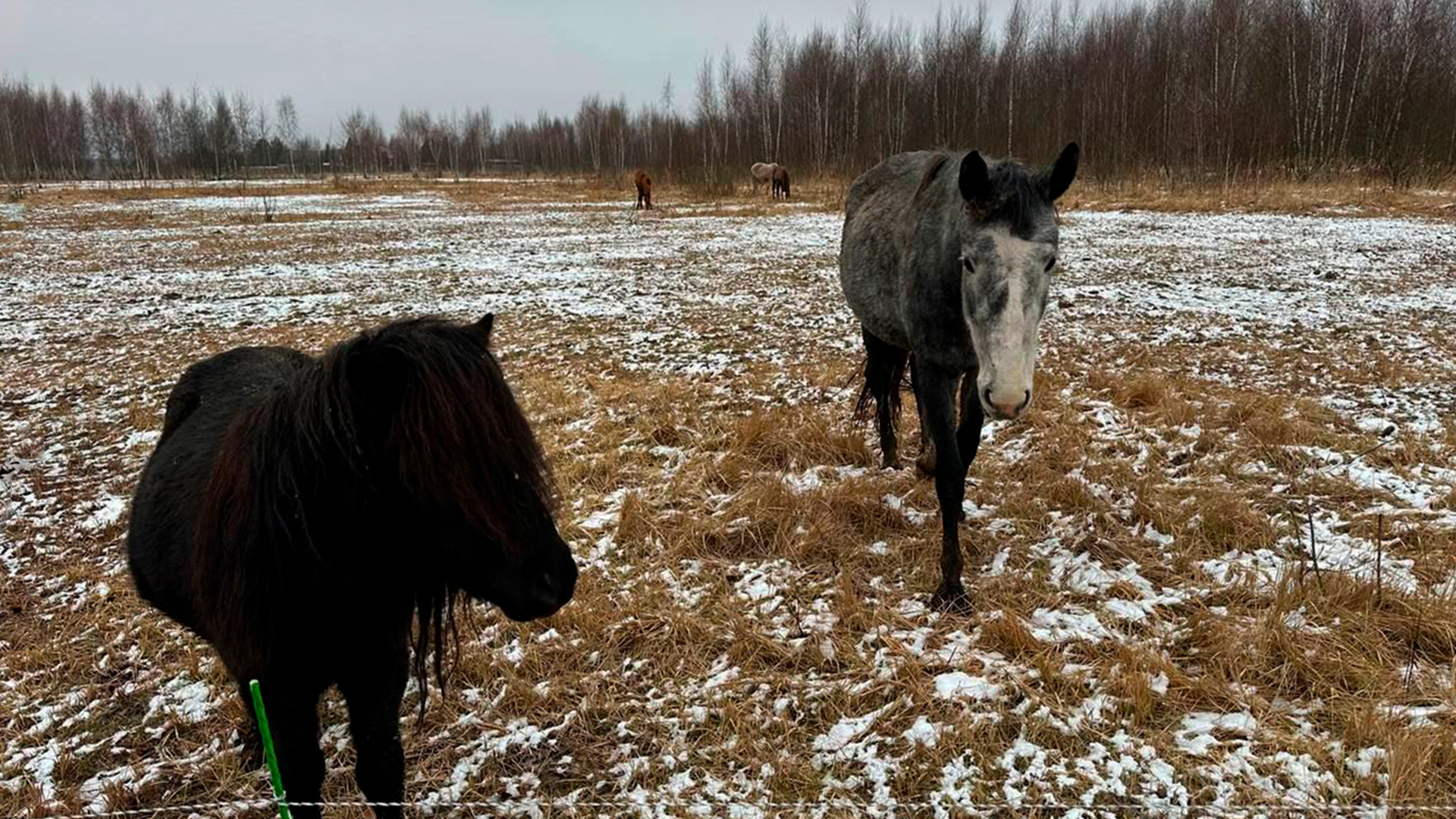 Участок под свободную застройку