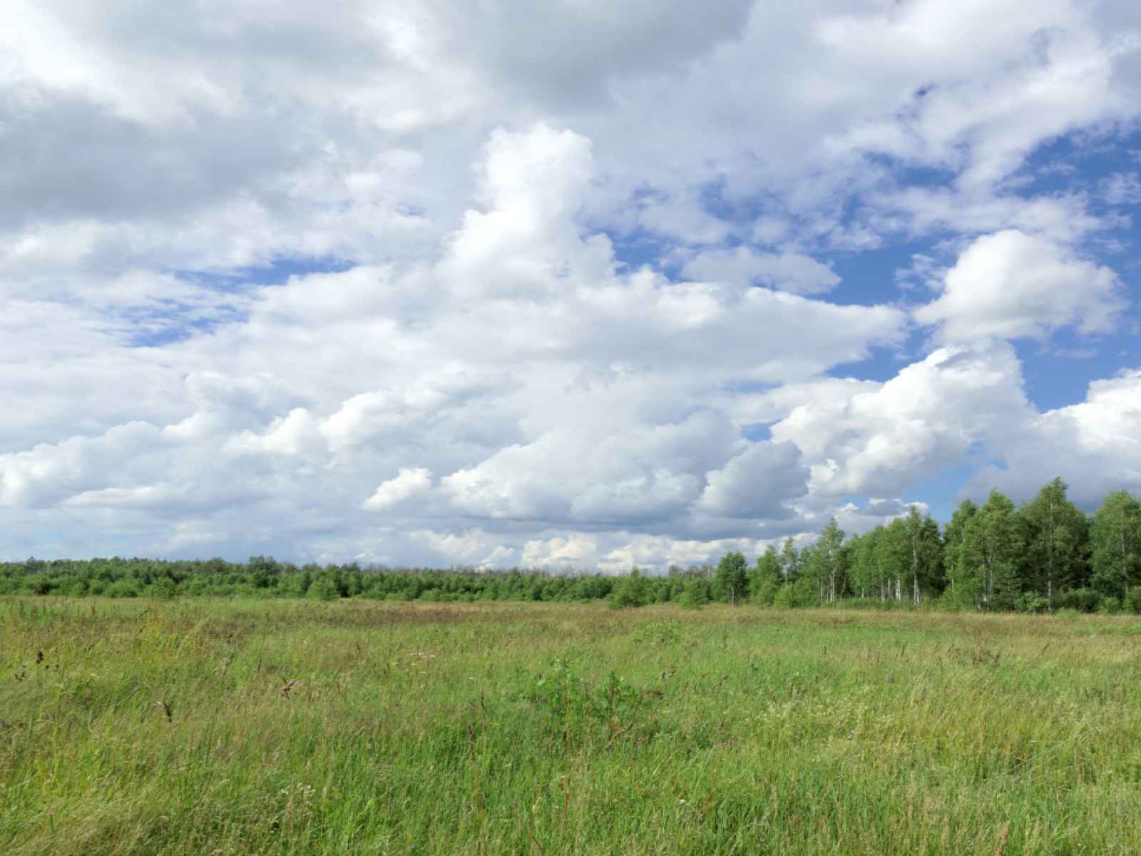 Участок №273 в посёлке «Bayside Residence»