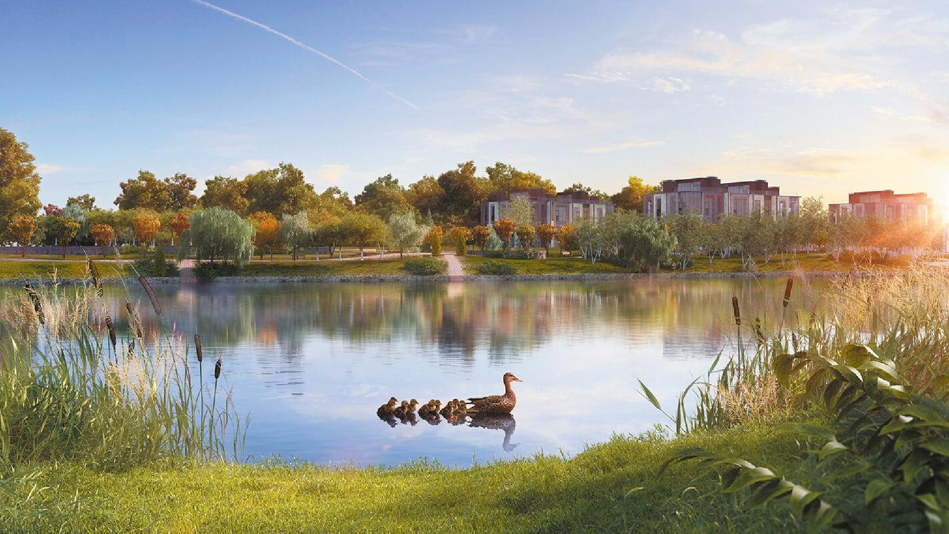 Пляжная зона у озера