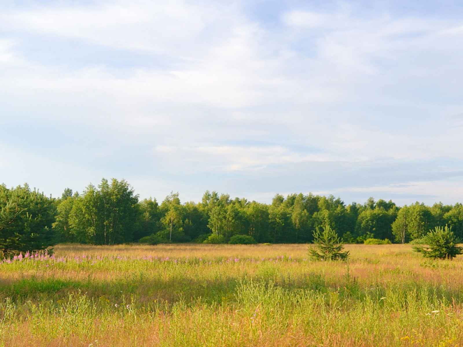 Участок №308 в посёлке «Bayside Residence»