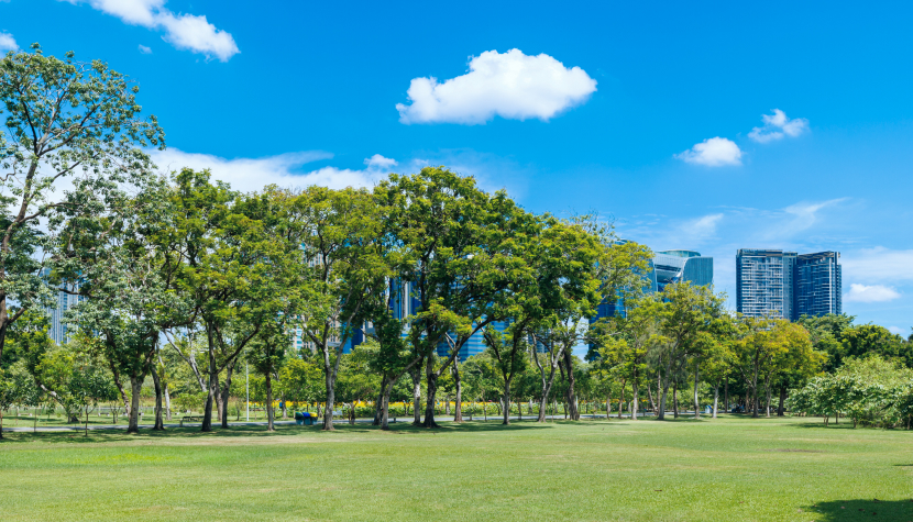 Прощай, бетон: где в Москве на месте заводов вырастут «индустриальные джунгли»?