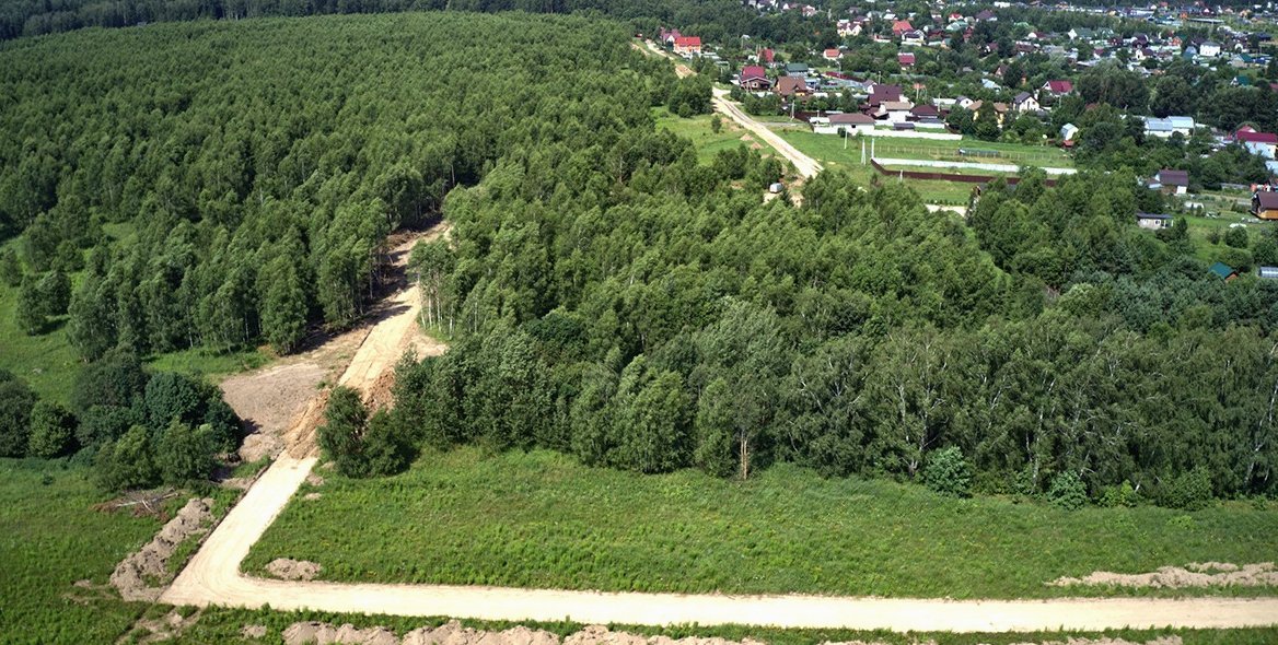Грунтовая дорога через лес
