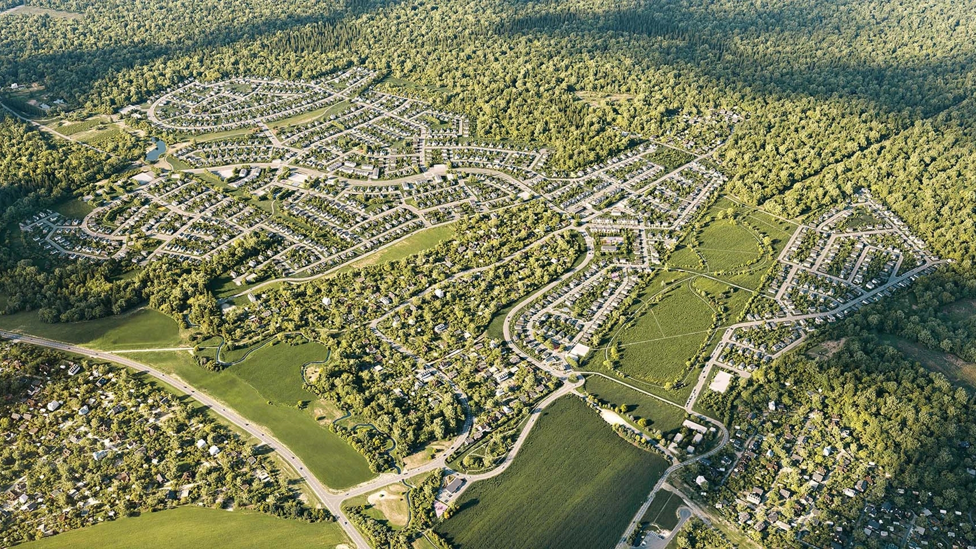 Генплан поселка у леса