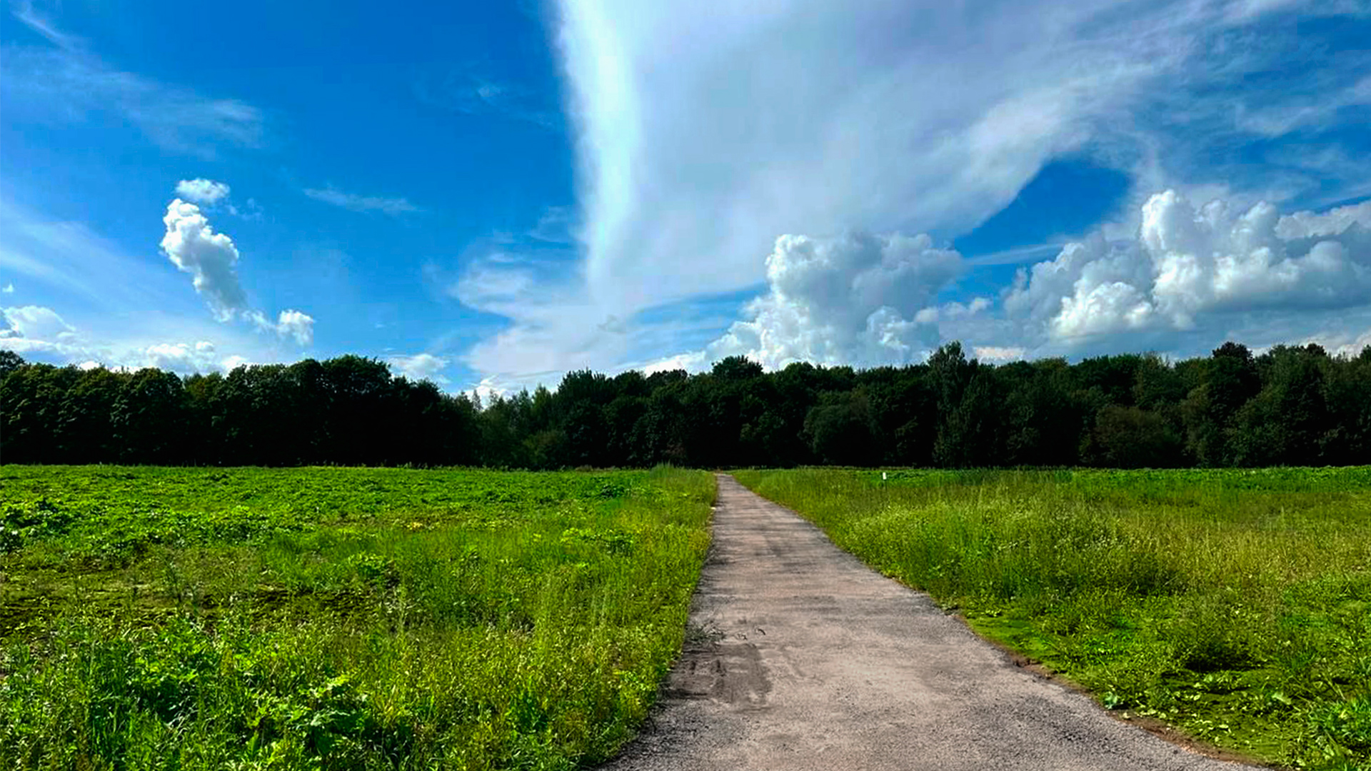 Дорога до участка