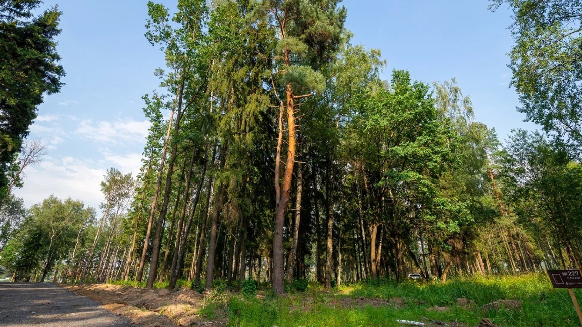 Лесопарковая зона