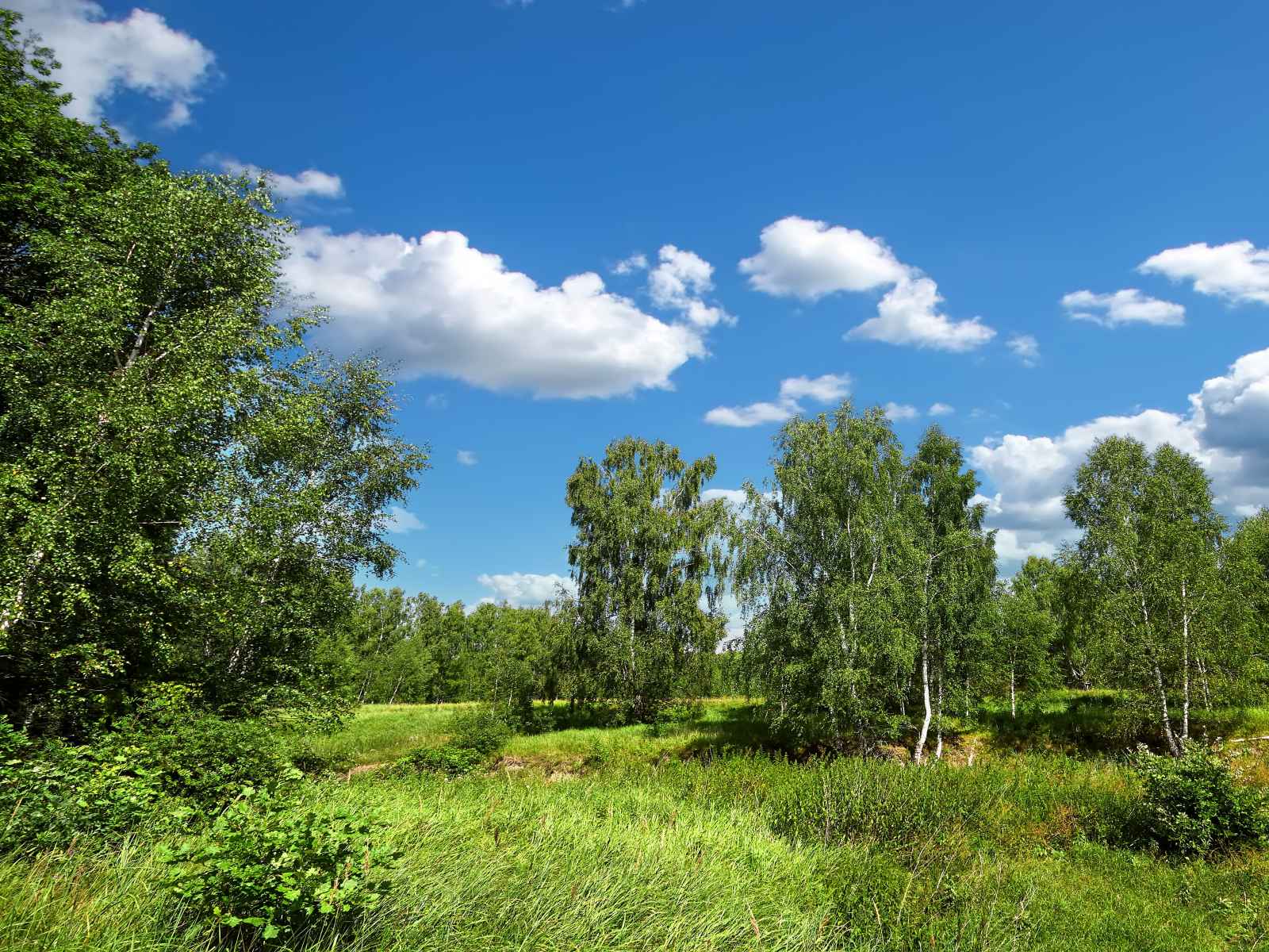 Участок №98 в поселке «Lakeside Residence»
