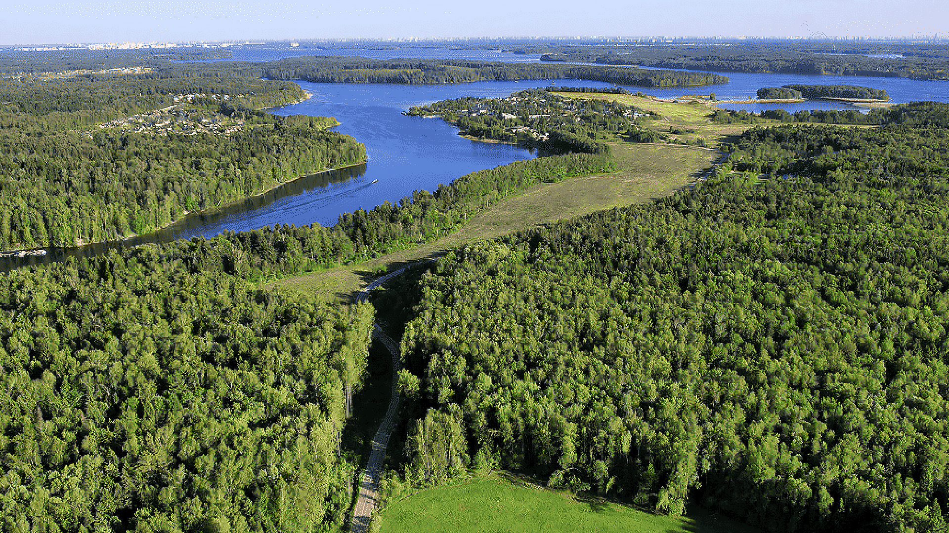 Реликтовый лес и река