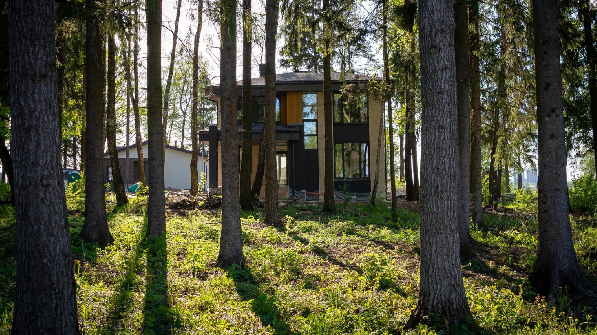 Дом с деревьями