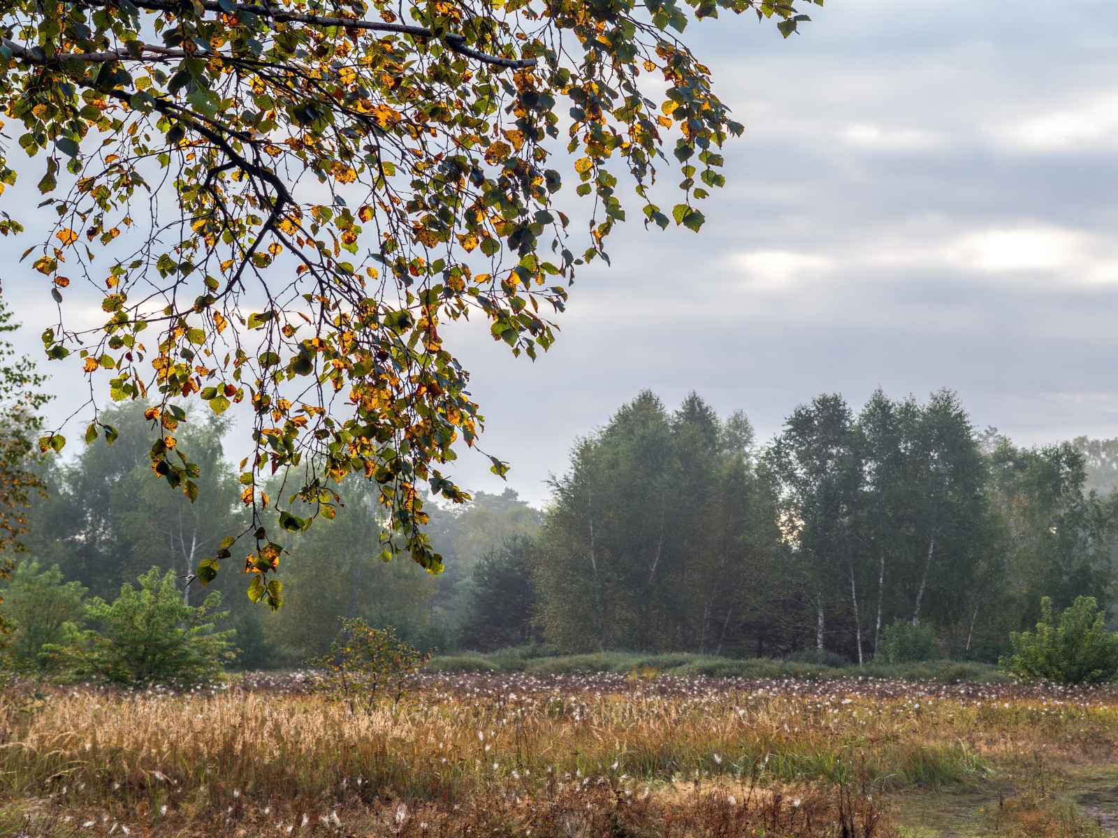 Участок №104 в поселке «Lakeside Residence»