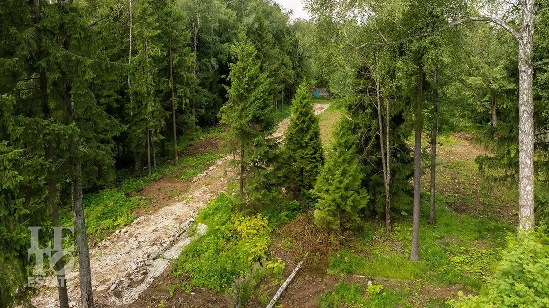 Лес