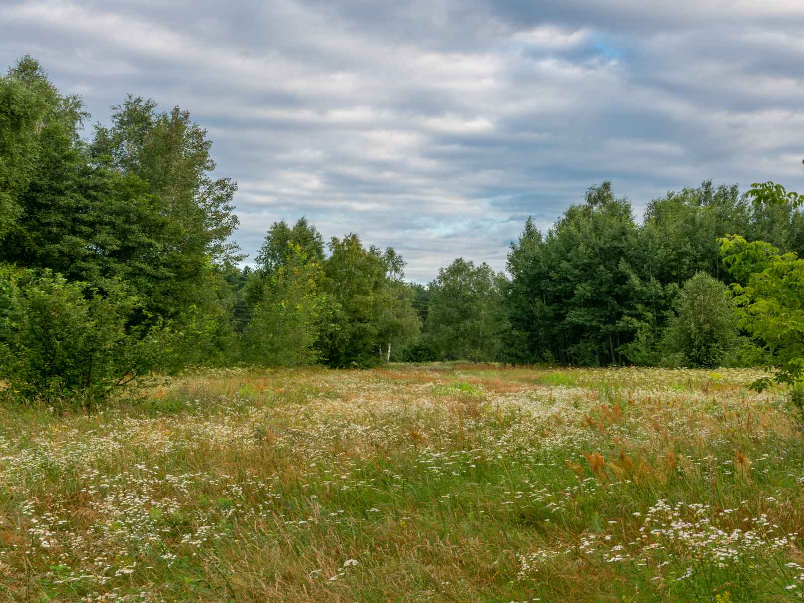 Участок №100 в поселке «Lakeside Residence»