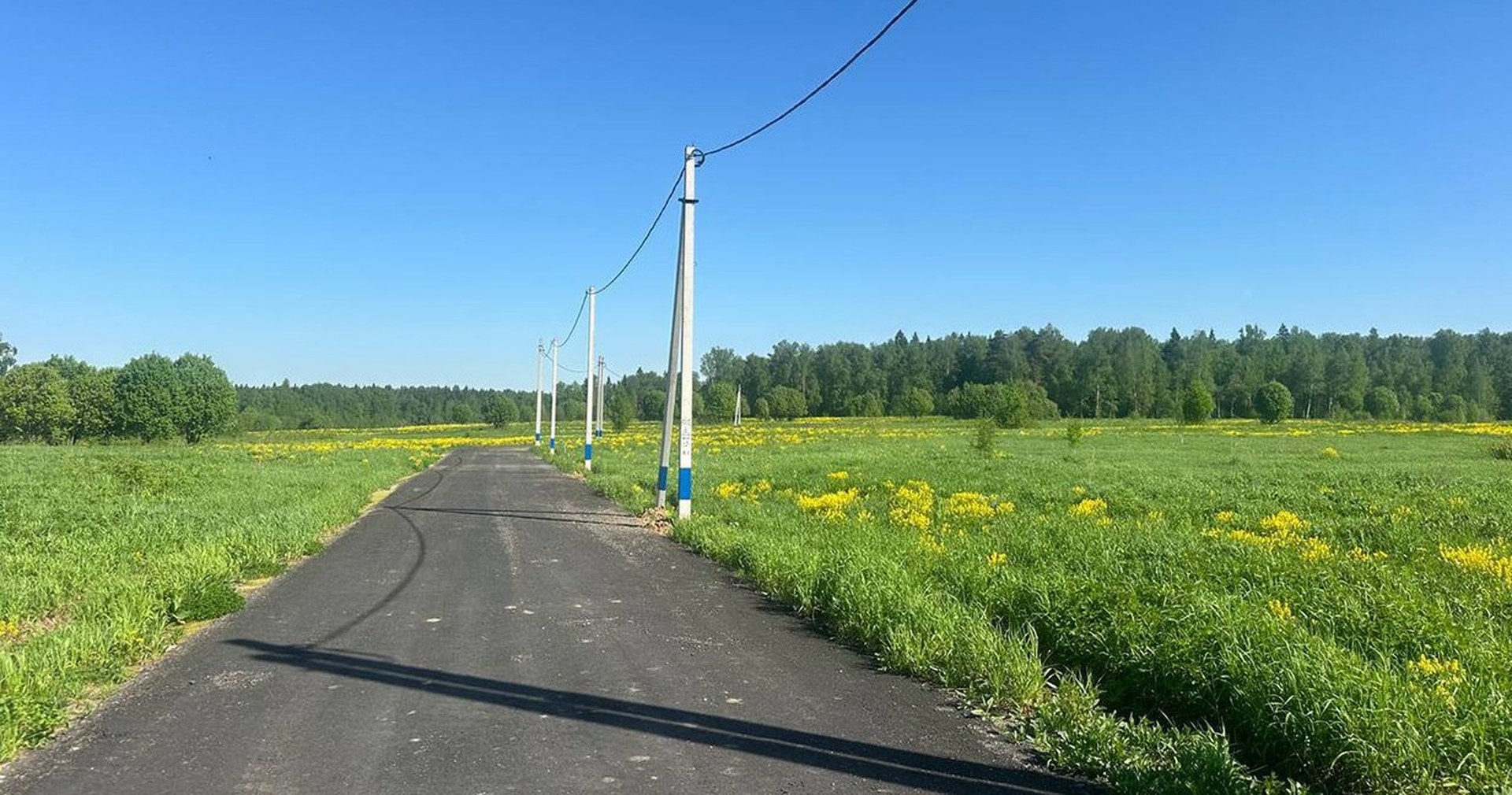 Дорога и линия электропередачи вдоль участков у леса