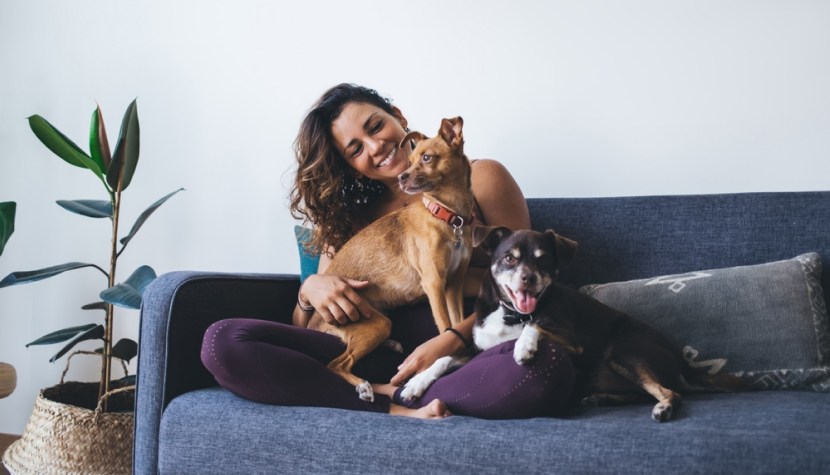 Как взять квартиру в ипотеку в 2025 году