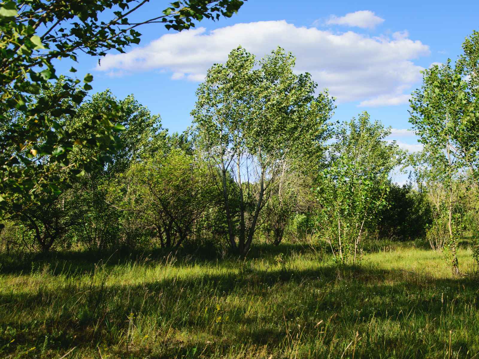 Участок №74 в поселке «Lakeside Residence»