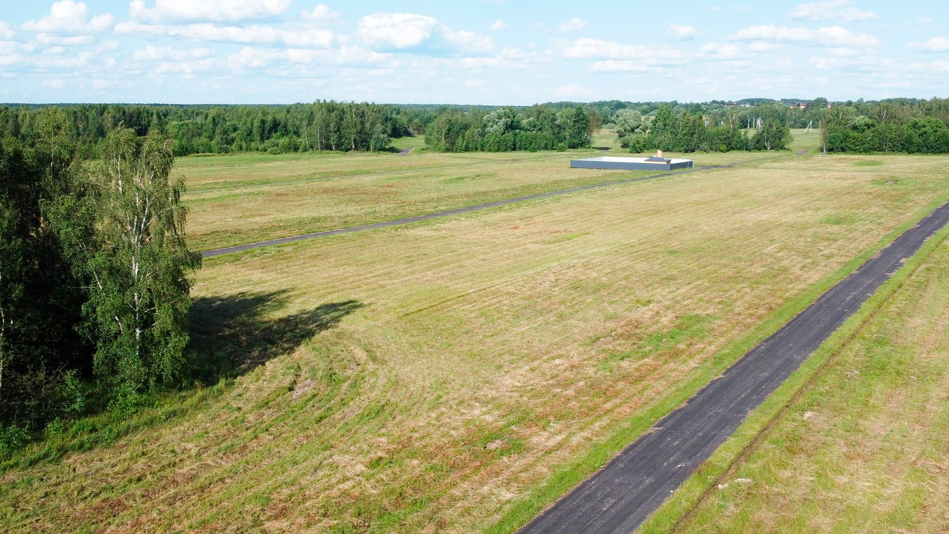 Лесной массив