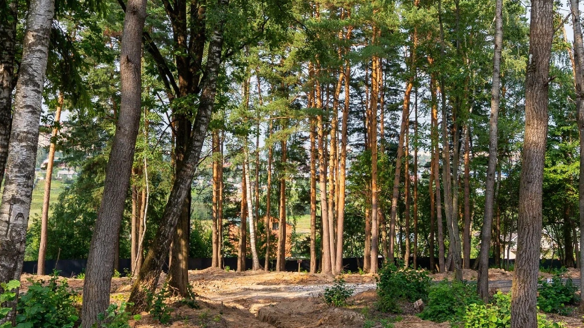 Лесопарковая зона