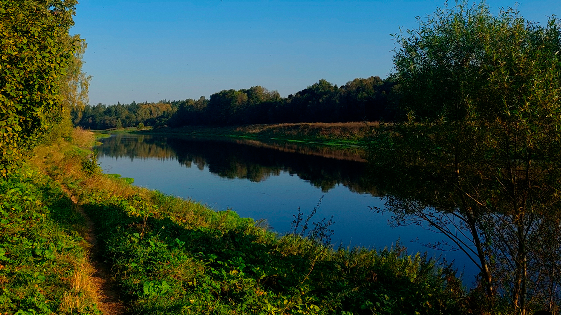 Река «Плесенка»