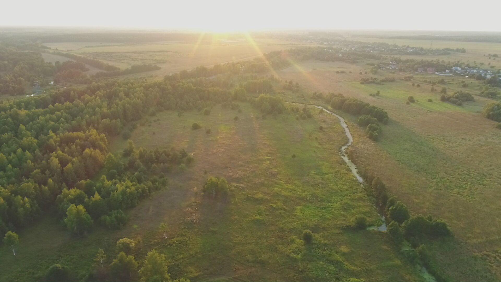 Лес вдоль поселка вид сверху
