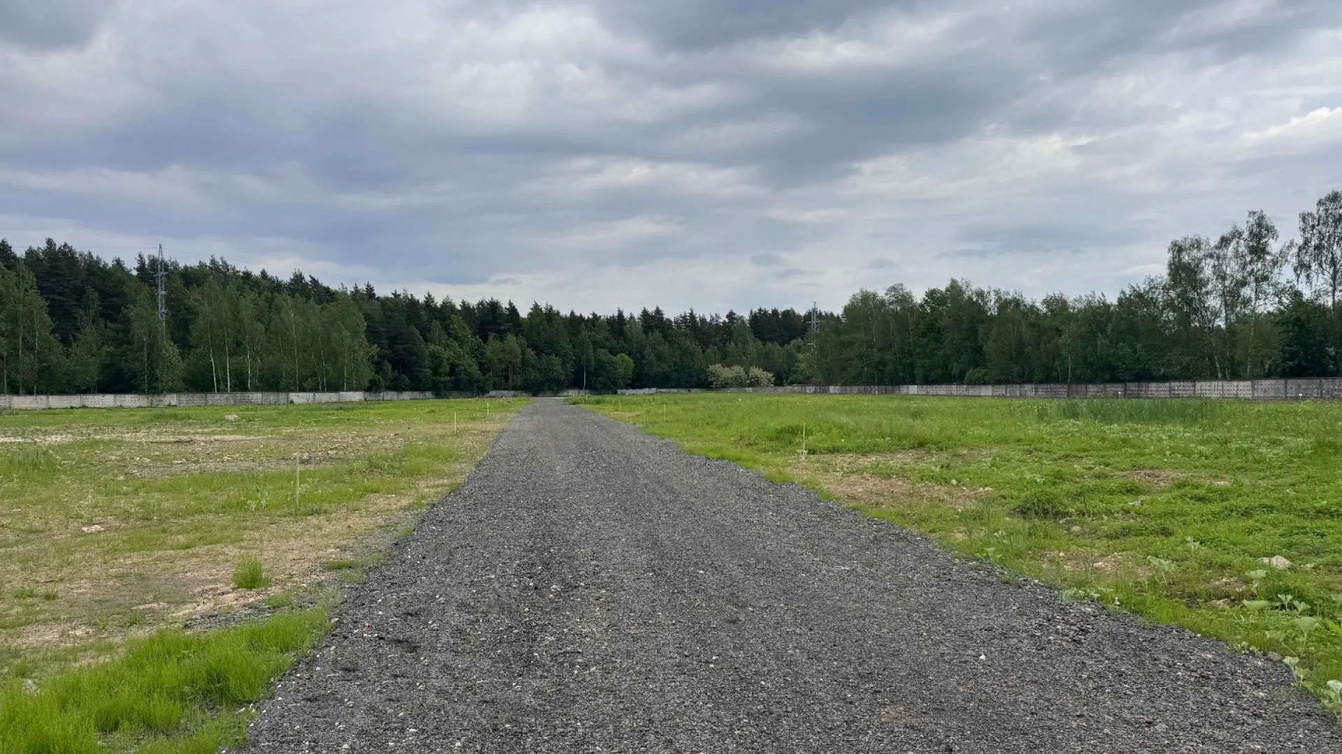 Дорога с видом на лес