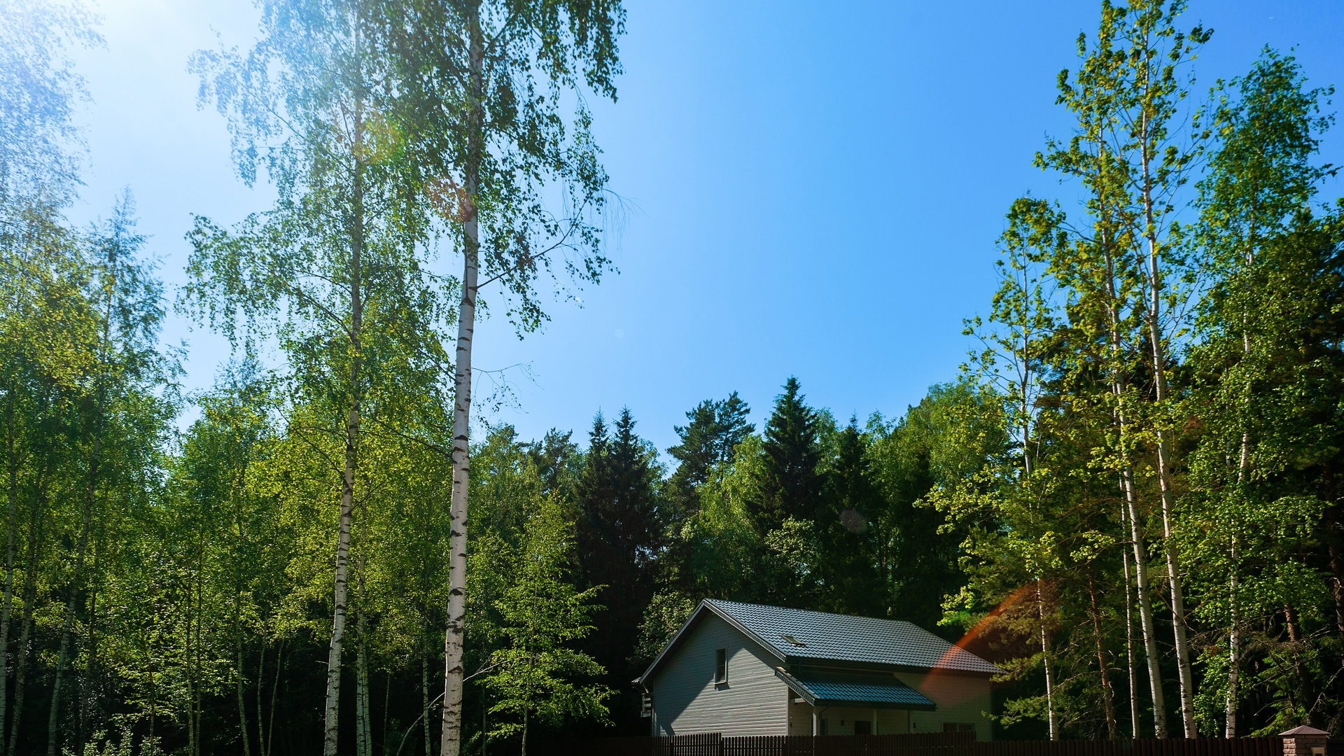 Дом в деревьях