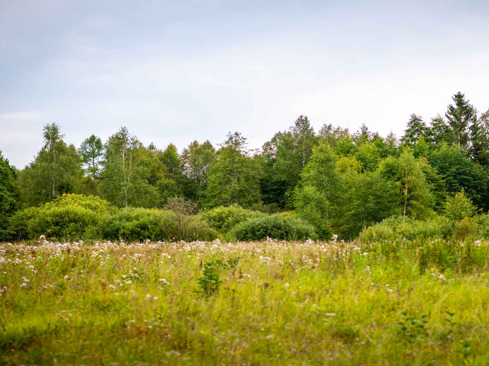 Участок №86 в поселке «Lakeside Residence»