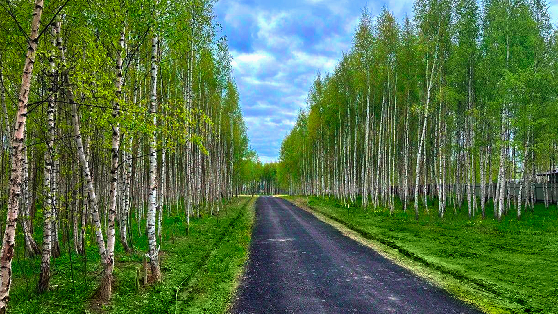 Дорога до участка