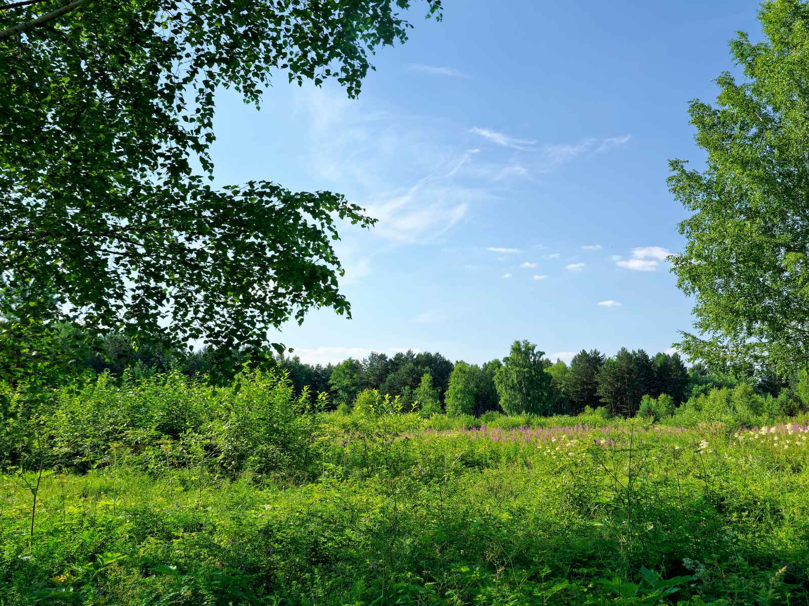 Участок №76 в поселке «Lakeside Residence»