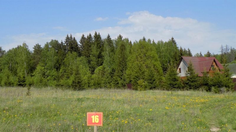 Участок 10.06 соток в посёлке «Петрухино-Дальнее»