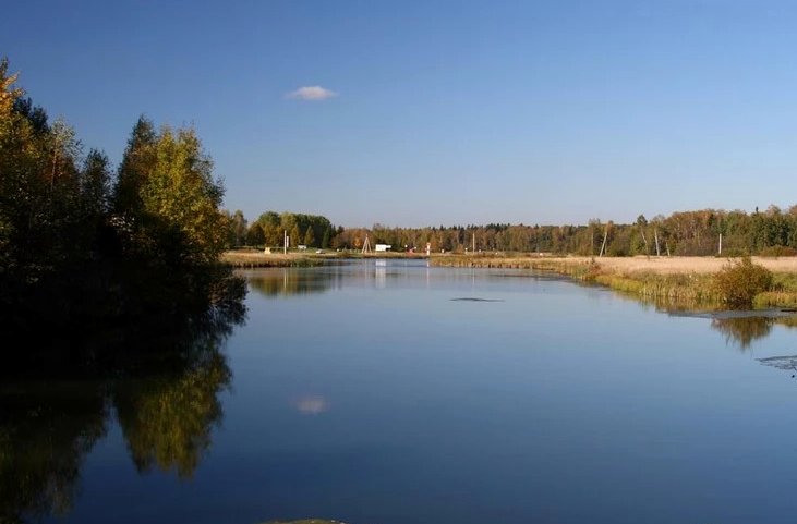 Пруд с отражением деревьев