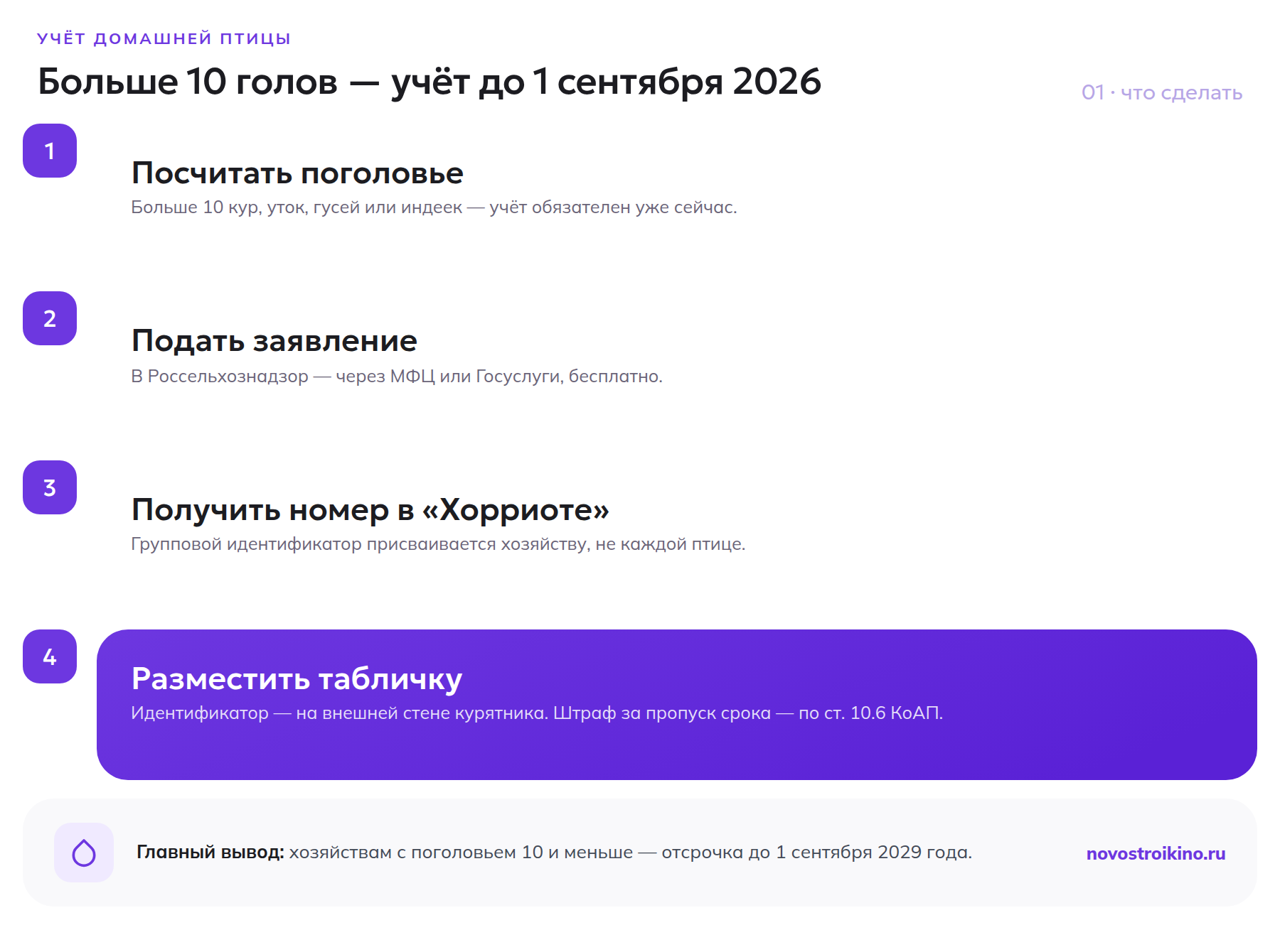 Четыре шага постановки домашней птицы на учёт в ЛПХ до 1 сентября 2026 года