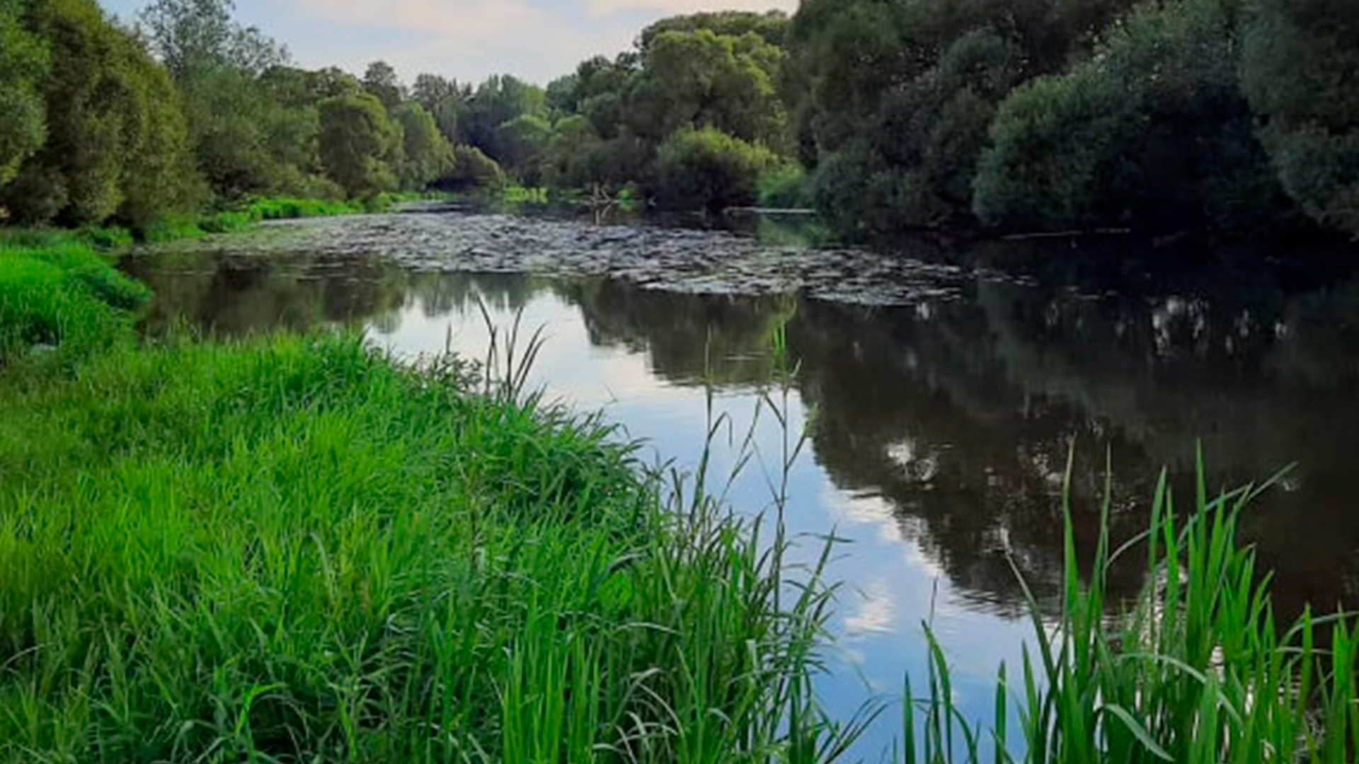 Река «Пахра»