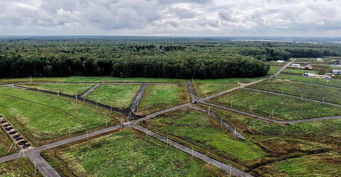 Поля на границе с лесом