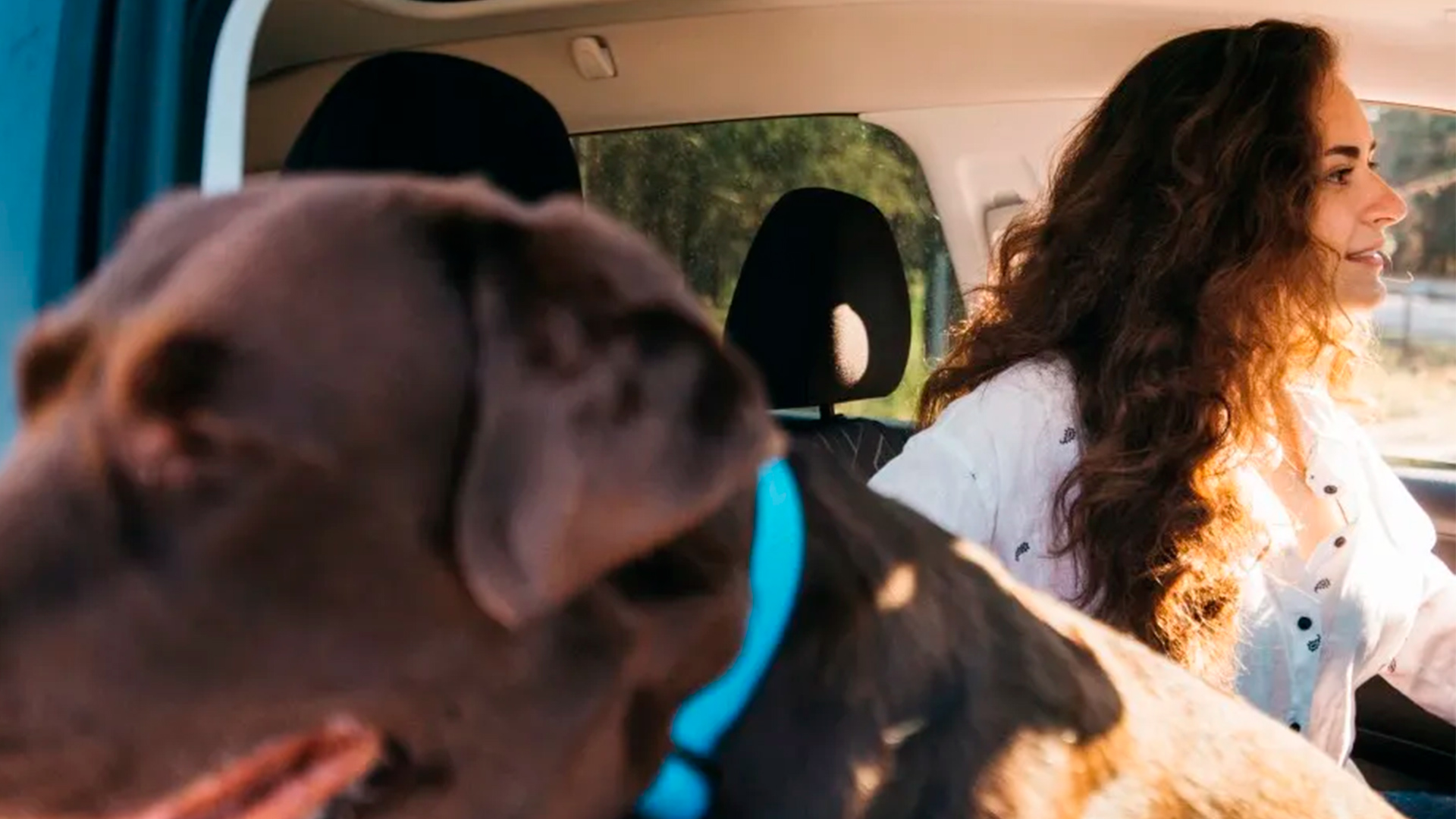 Транспортная доступность