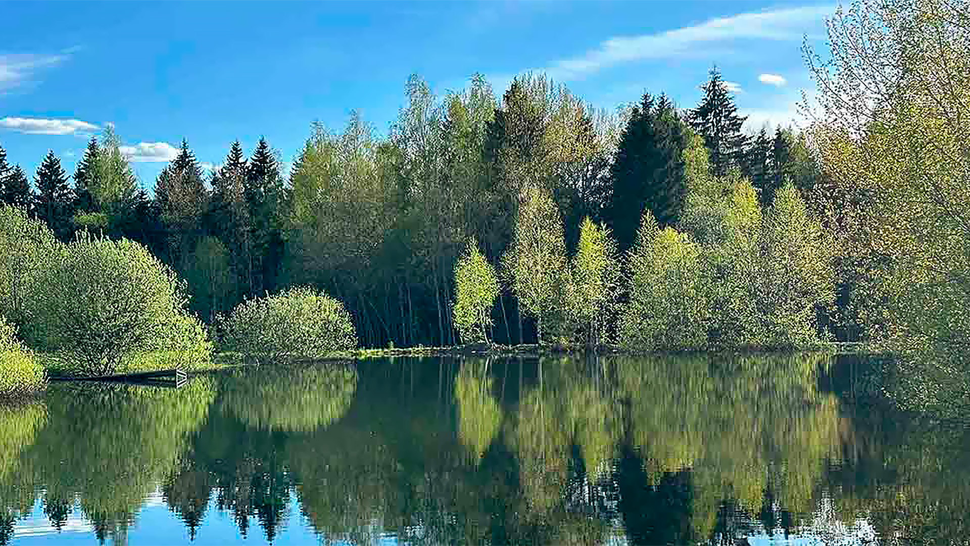 Водоем в поселке