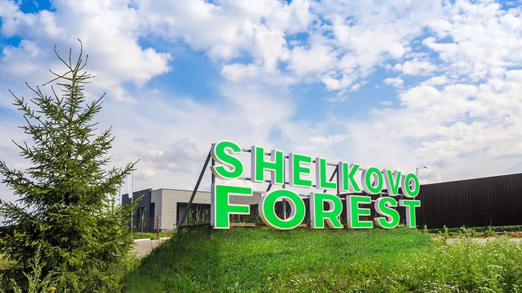 Shelkovo Forest