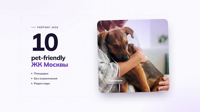 Pet-friendly ЖК Москвы: ТОП-10 лучших новостроек для комфортной жизни с животными
